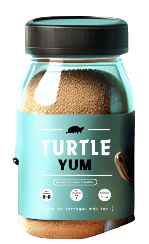 Turtle Yum